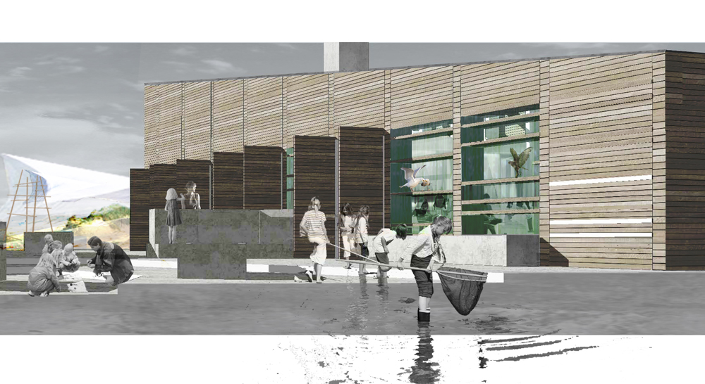 Naturcenter_Stemning fra Stejlepladsen_fra skitseforslag