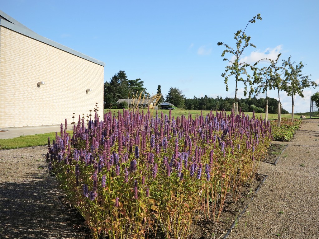 Kig ud i landskabet sept.2014_foto JJW