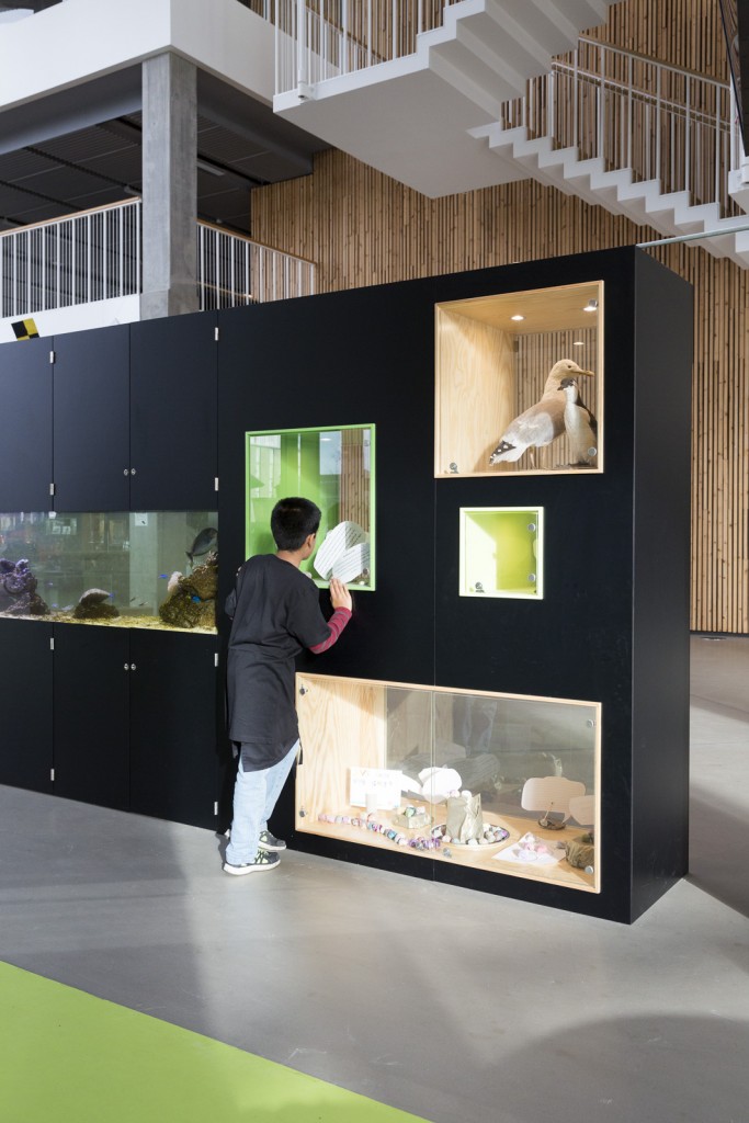Udstillingsbokse foran NaturTeknik_foto Torben Eskerod