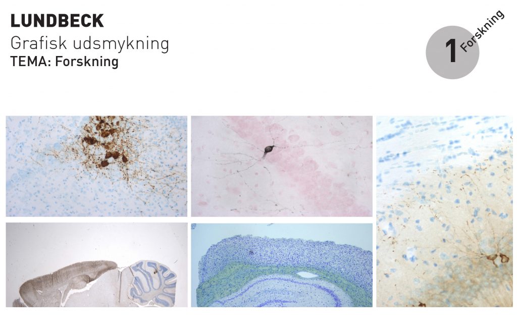 Strategi forskning_proces