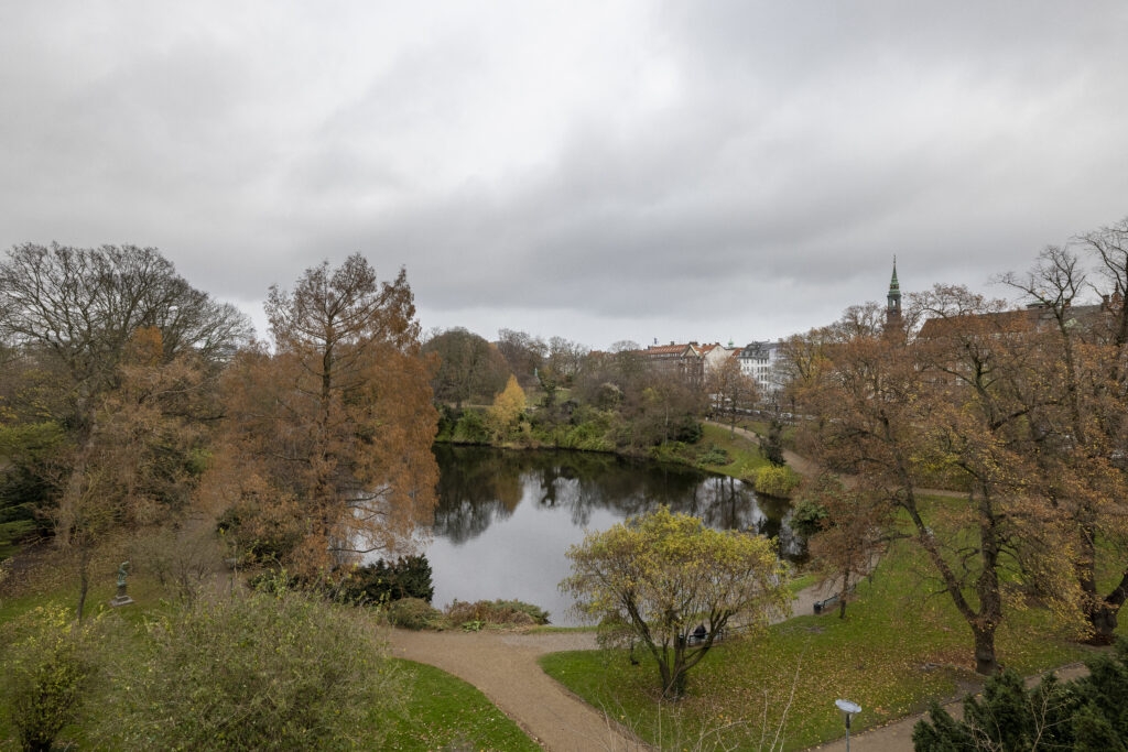 Udsigt til Ørstedsparken fra bestyrelseslokale _foto Torben Eskerod